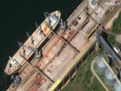 Спутниковые снимки показали, что российские сухогрузы загружаются украденным украинским зерном