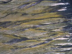 На Марсе наступила весна: NASA показало, как на Красной планете тает снег