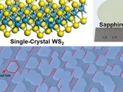 На смену кремниевым чипам придут сверхбольшие кристаллы 2D-материалов