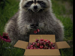 Смілянський розповів, що може бути зображено на новій марці "Укрпошти"