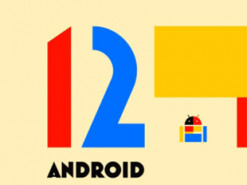 Названы смартфоны, которые первыми обновятся до Android 12