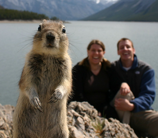 Новая технология позволяет «удалять» людей из снятого на смартфон видео