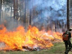 У Києві найближчими днями буде надзвичайно високий ризик пожеж