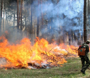 У Києві найближчими днями буде надзвичайно високий ризик пожеж