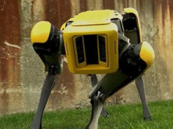 Разгуливающий самостоятельно по улицам робопёс Spot напугал прохожих