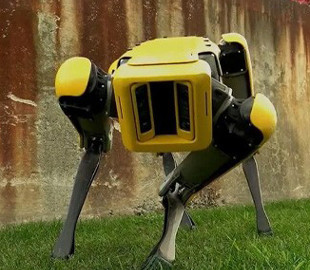 Разгуливающий самостоятельно по улицам робопёс Spot напугал прохожих