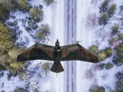 У Нідерландах створили дрона-розвідника у вигляді птаха, щоб зробити його непомітним