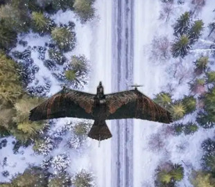 У Нідерландах створили дрона-розвідника у вигляді птаха, щоб зробити його непомітним