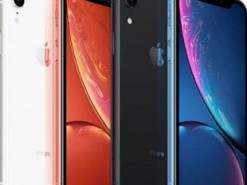 iPhone XR 2 получит ЖК-экран с узкими рамками и «квадратную» камеру