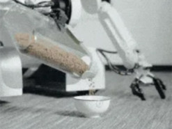 Інженери навчили робота годувати кота і прибирати в домі