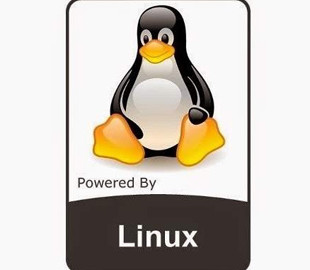 Ядро Linux 5.4 готово к массовому развёртыванию