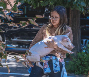 «Дама с поросенком»: Днепр взорвала неожиданная выходка девушки