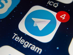 За год блокировки Telegram нарастил свою аудиторию в России