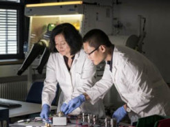 Литиевым аккумуляторам нашли более доступную и эффективную альтернативу