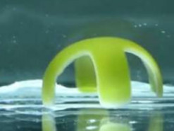 В США создали робота, который на 90% состоит из воды