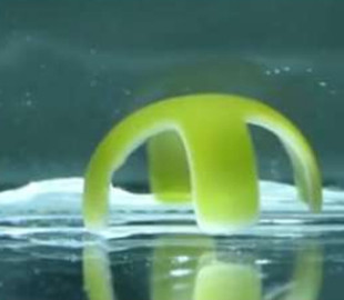 В США создали робота, который на 90% состоит из воды