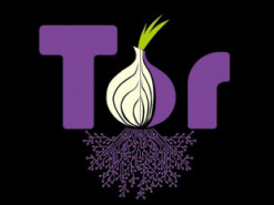 Эксперты: анонимность браузера TOR — это миф