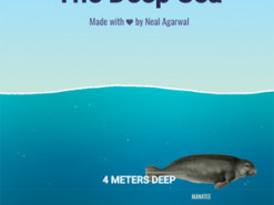 Появился сайт, на котором можно «спуститься» на дно океана и увидеть подводную жизнь