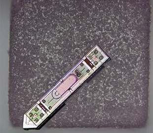 Менший за крупинку солі. Науковці Корнелльського університету розробили незвичайний мозковий імплант