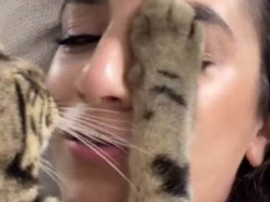 Соскучившийся по хозяйке кот растрогал соцсети