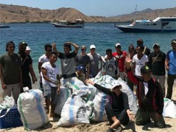 У соцмережах вірусний хештег #Trashtag: По всьому світу люди прибирають парки і пляжі