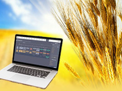 Аферисты наторговали через интернет чужим зерном на сумму свыше 1 млн гривен