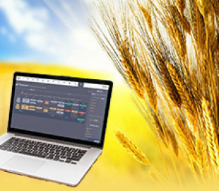 Аферисты наторговали через интернет чужим зерном на сумму свыше 1 млн гривен