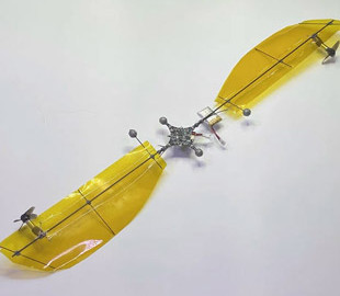 Семена клёна помогли китайцам удвоить время полёта сверхлёгких дронов