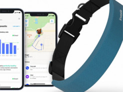 "Apple Watch" для собак: умный ошейник следит за здоровьем и играми питомца