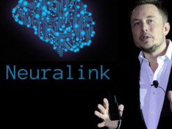 Ученые оценили планы Илона Маска совместить мозг человека с компьютером