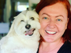 Любящая поспать собака не хотела идти на прогулку и рассмешила пользователей Сети