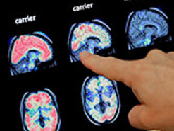 "Вышел из тени" израильский стартап, создавший платформу для чтения мыслей ради предотвращения катастроф