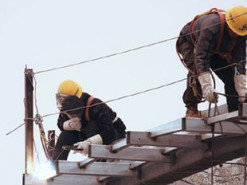 В Естонії влаштувалася на роботу рекордна кількість українських біженців