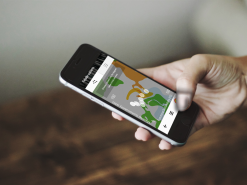 Борьба против "токсичных" услуг мобильных операторов набирает обороты