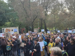 Краловець наш: у Празі провели "референдум" за приєднання Калінінграда до Чехії