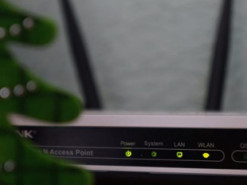 Експерти назвали дві новорічні прикраси, які впливають на роботу Wi-Fi-роутера