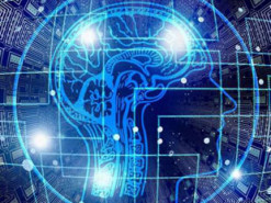 Новая разработка делает «чёрный ящик» ИИ более прозрачным