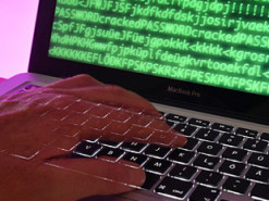 Большинство мировых компаний оказались уязвимы для хакеров