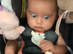 Ребенок показал непередаваемые эмоции от новой игрушки