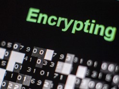 Французские власти разработали свою альтернативу WhatsApp и Telegram