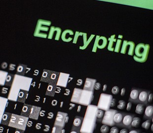 Французские власти разработали свою альтернативу WhatsApp и Telegram