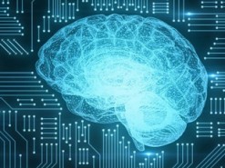 Стартап разработал ИИ-фермера для управления «фабрикой растений»