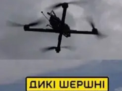 Українські розробники суттєво вдосконалили вітчизняний ударний дрон «Королева Шершнів»