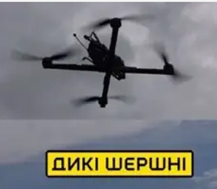 Українські розробники суттєво вдосконалили вітчизняний ударний дрон «Королева Шершнів»