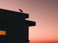 SpaceX представила премиум-подписку на спутниковый интернет Starlink