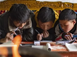 В Китае насчитали 183 млн несовершеннолетних интернет-пользователей