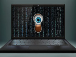 11 тысяч личных документов моделей сайта для взрослых хранились в открытом доступе