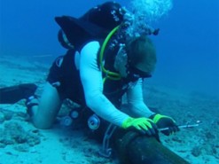 Интернет-кабели расскажут о землетрясениях