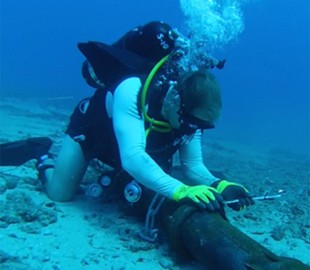 Интернет-кабели расскажут о землетрясениях