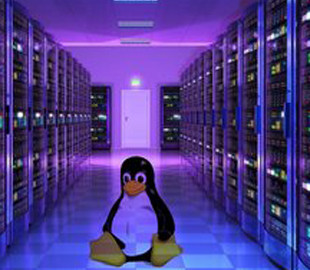 Linux стала популярнее Windows в облачной платформе Microsoft